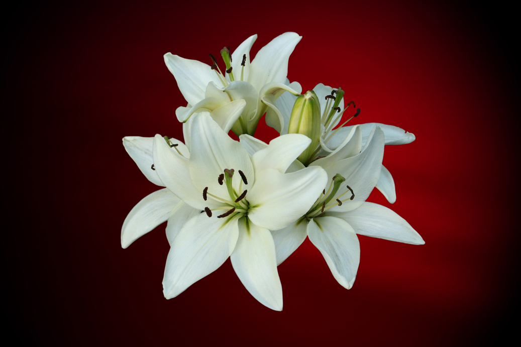 Fill your thinking with gladness, not sadness at Easter and all year round.